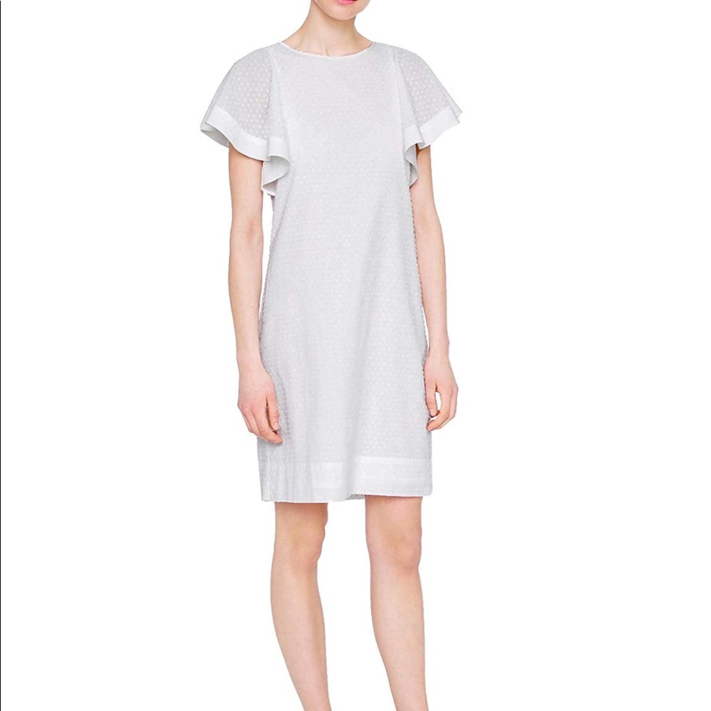 J. Crew Swiss Dot Flounce Sleeve Dress